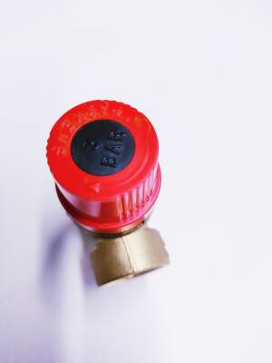 BAYMAK 3 BAR EMNİYET VENTİLİ GEÇMELİ TİP , BAYMAK KOMBİ 3 BAR VAN - 2