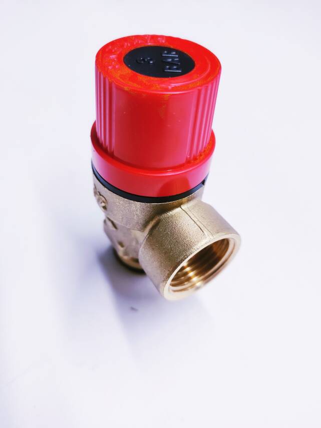 BAYMAK 3 BAR EMNİYET VENTİLİ GEÇMELİ TİP , BAYMAK KOMBİ 3 BAR VAN - 3